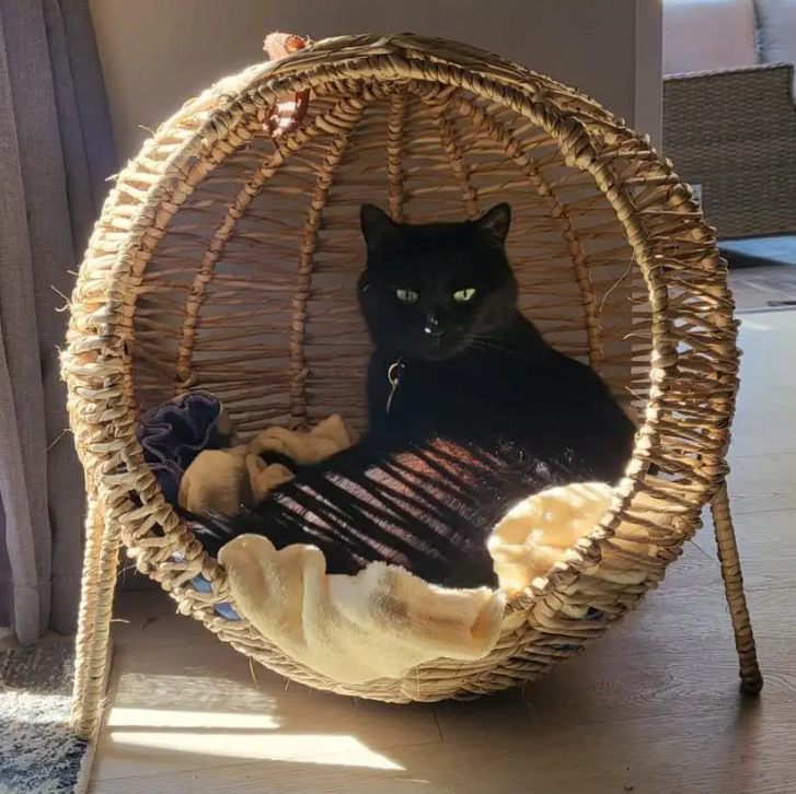 Kukon - Pet Basket