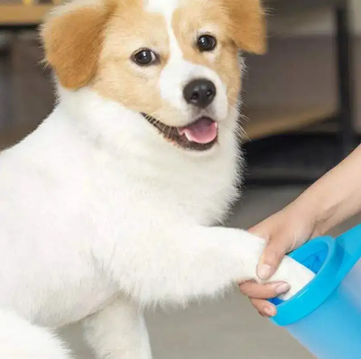 Silicone Pet Paw Cleaning Brush with Cup
