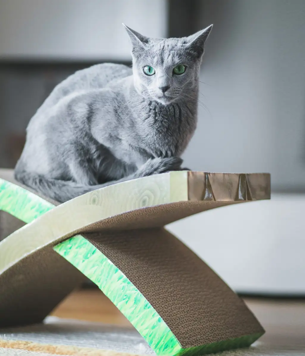 Easy Life Hammock Cat Scratcher – 2-in-1 Lounge & Scratch Pad